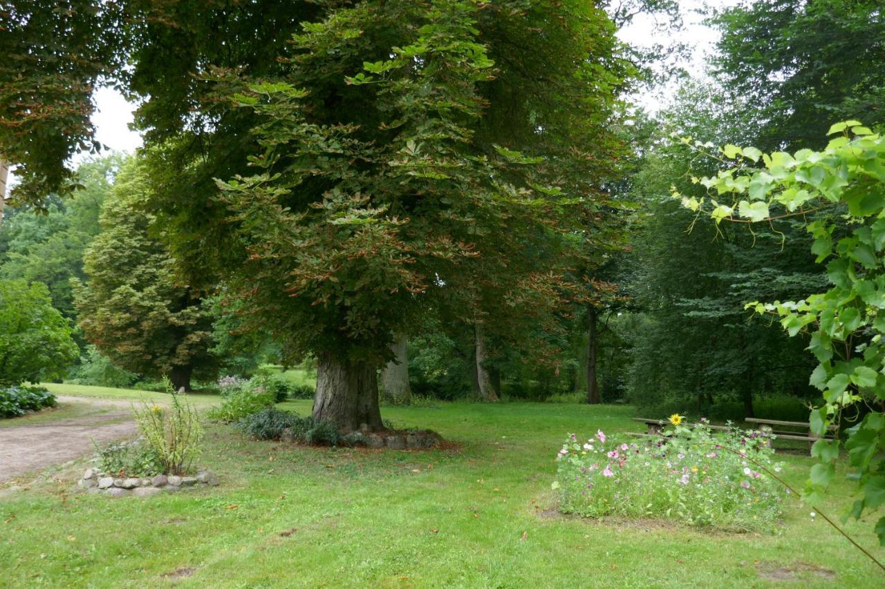 Landhaus Schloss Koelzow Kolzow Eksteriør billede
