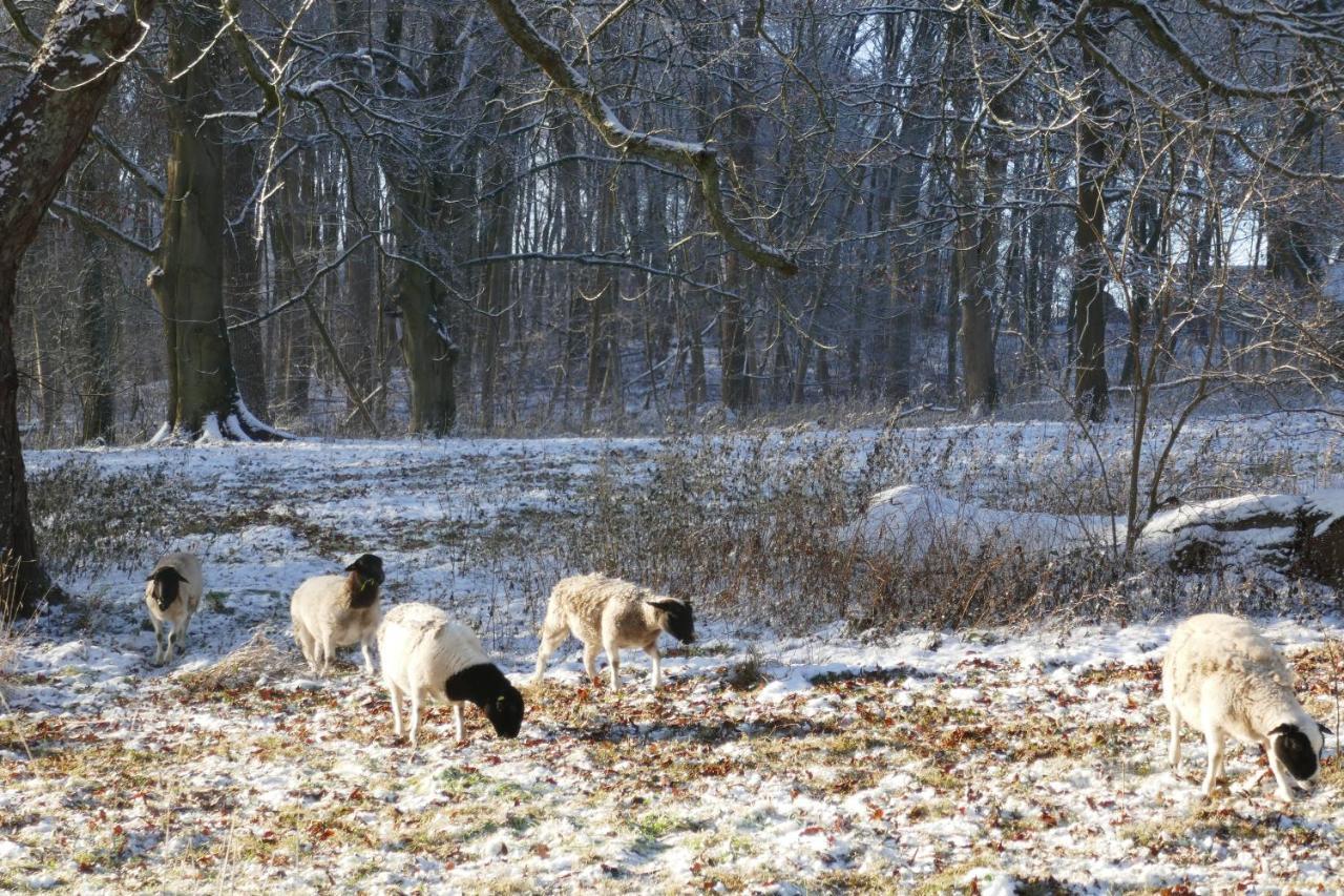 Landhaus Schloss Koelzow Kolzow Eksteriør billede